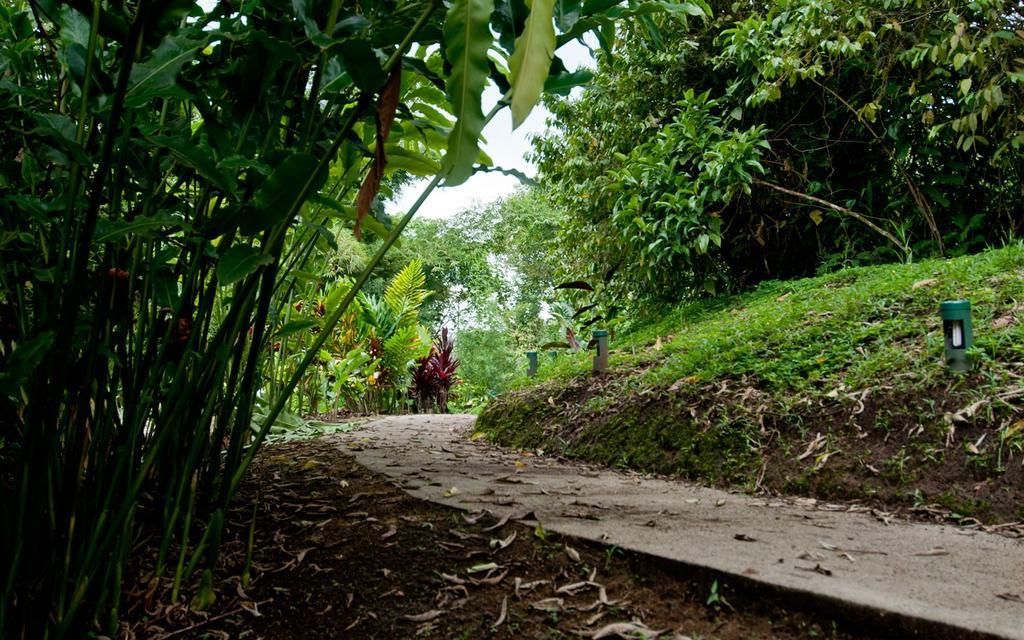 Huasquila Amazon Lodge Cotundo Exterior foto