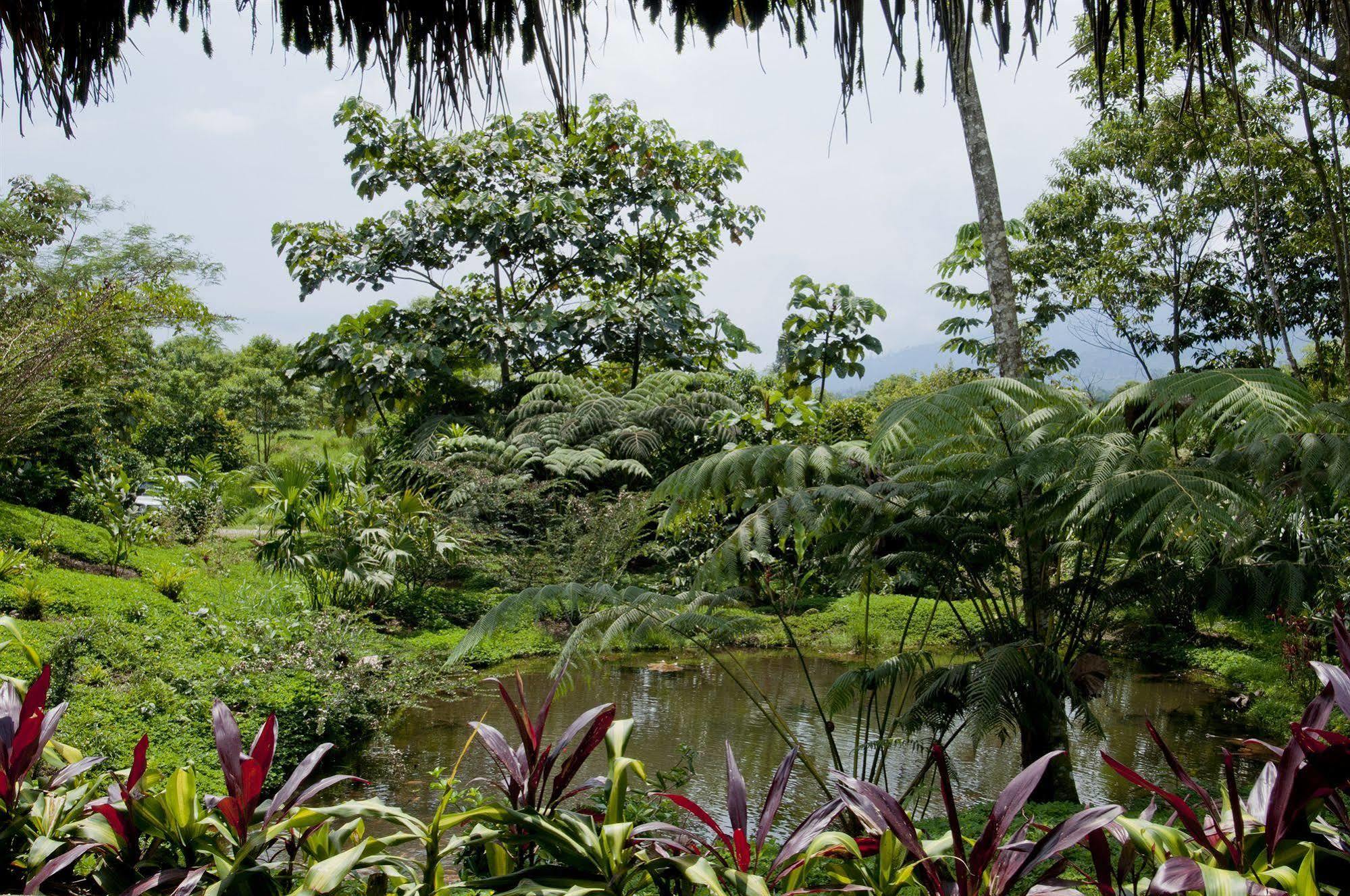 Huasquila Amazon Lodge Cotundo Exterior foto